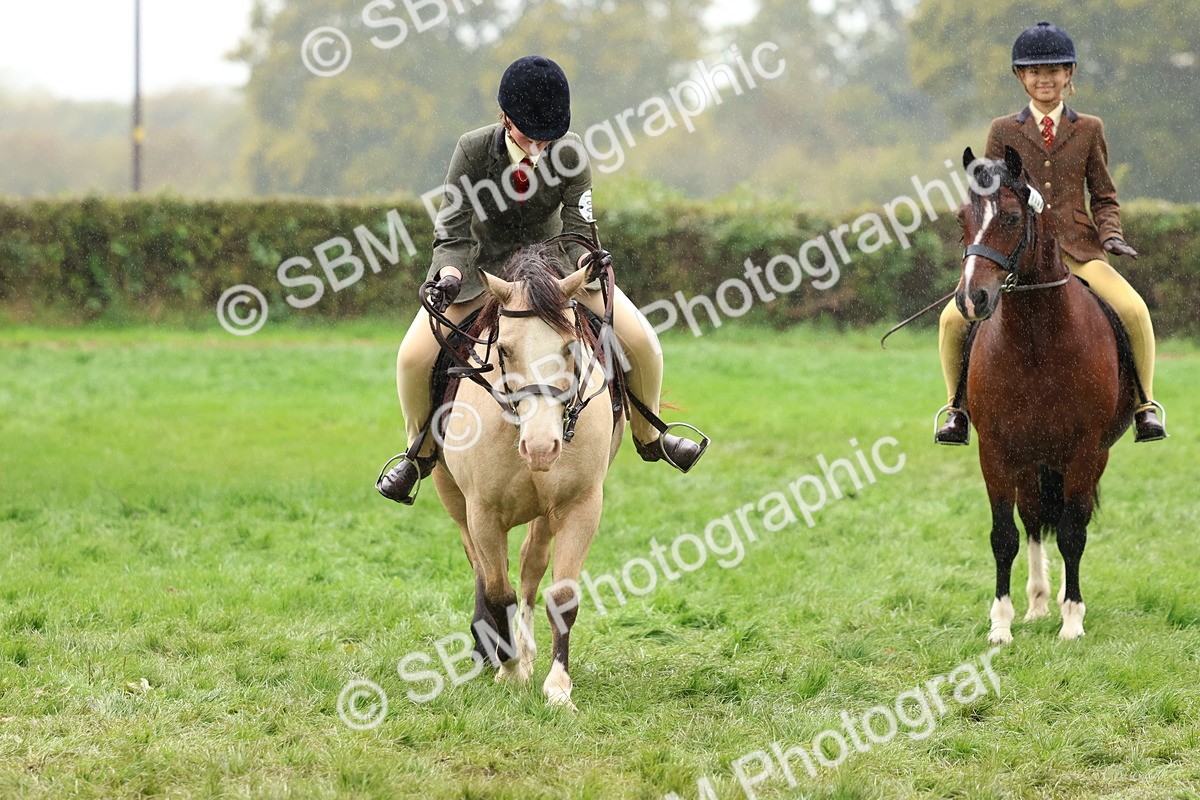 SBM_69727 - S62 - Mountain & Moorland Ridden Large Breeds