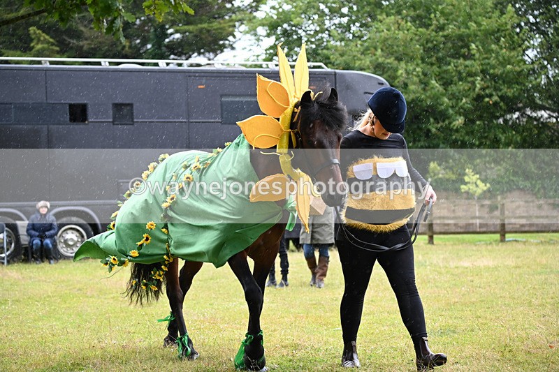WJ6_9057 - Class 11 Fancy Dress