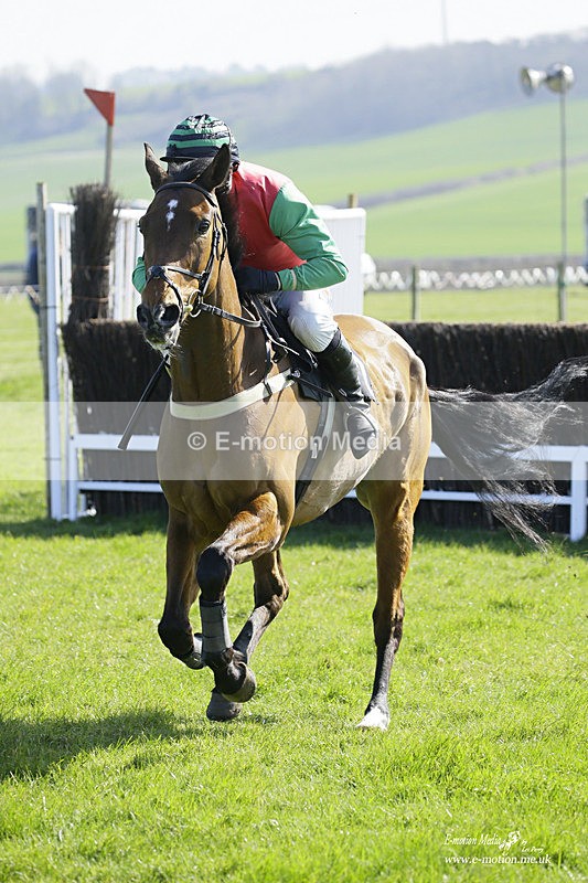 PtP 190322 376 - Wilton Hunt PtP Milborne St Andrew 19/03/22
