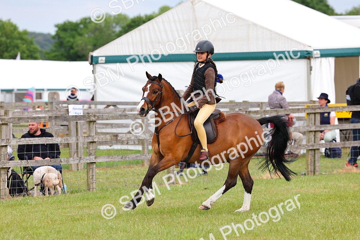 SBM_09552 - Class 44-45 - LIHS BSPS Open Nursery and Cradle Stakes