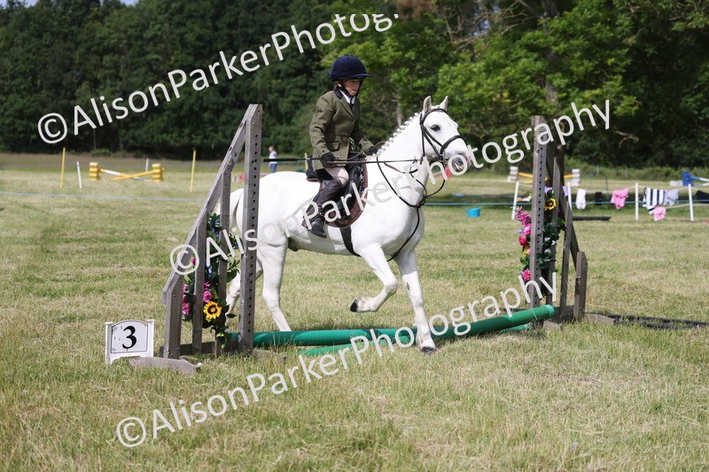 20260614-0648 - Class 20 - Beginners Working Hunter Pony