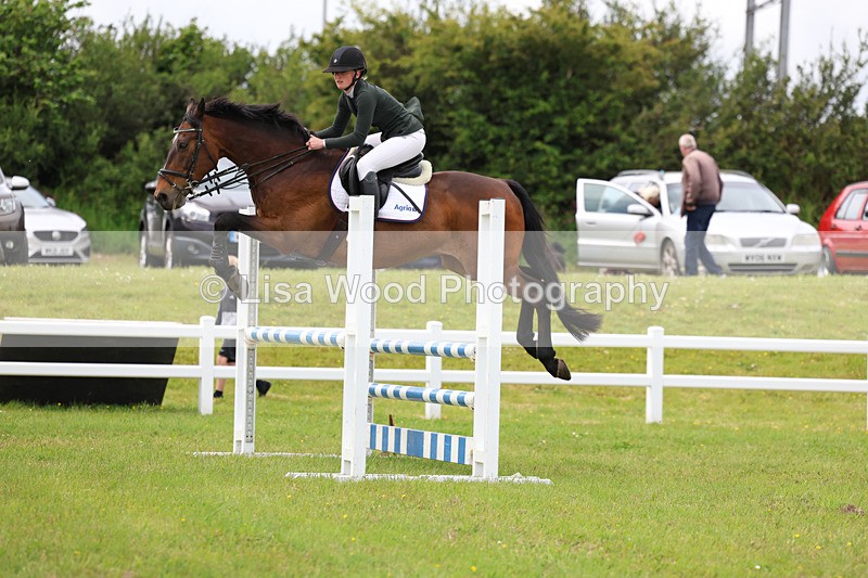 3E7A7794 - Class 13: Senior British Novice/90cm open