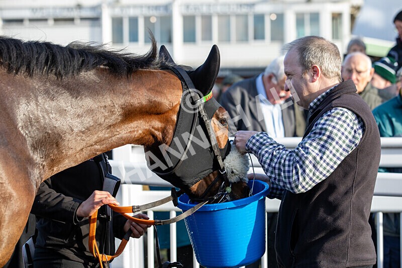 250225-Race 3-Ballyvango-6295 - Race 3