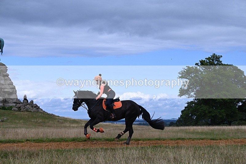 DSC_8845 - Time at Statue 14:33 to 15:10