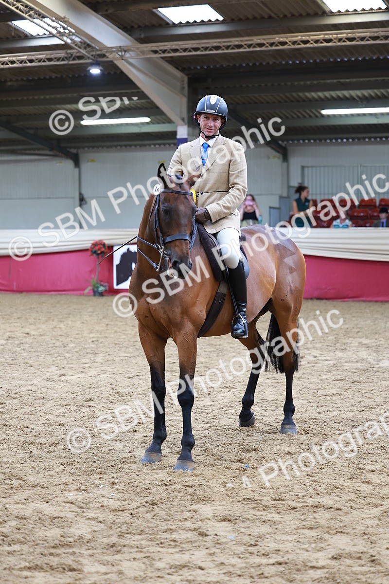 SBM_14985 - Class 108 - Ridden Retired Racehorse