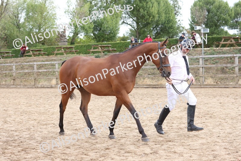20260831-1965 - Class 5 - Retraining of Racehorses