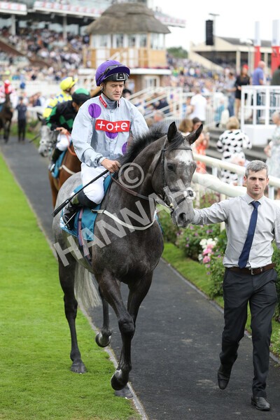 yr23072022r6-13 - Race 6 5.00pm Sky Bet Partnership with Support Dogs Stakes