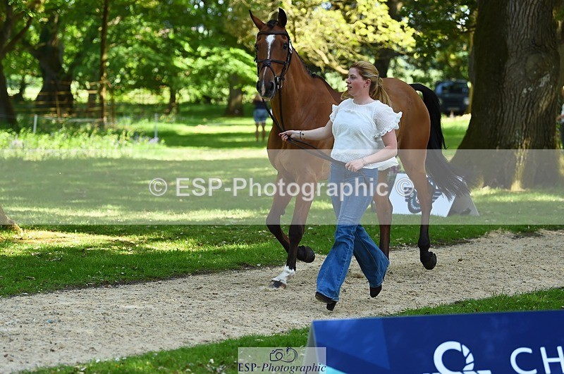 230524-155836-00590 - 206-MEXICAN_WAVE-Daisy_Bathe-WEDTrotUp+DR