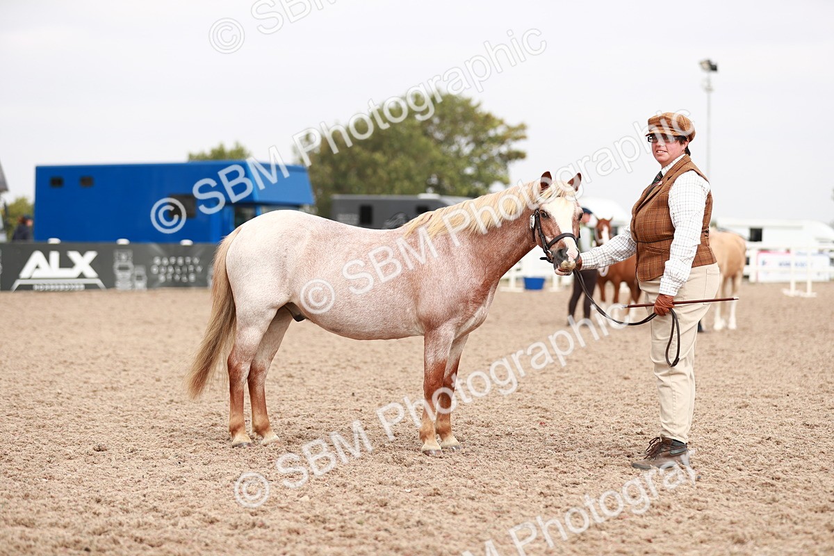 SBM_12510 - Class 207 IH M&M