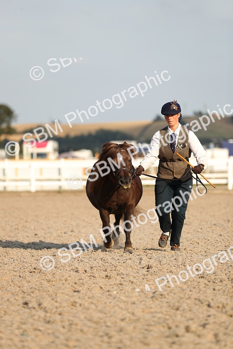 SBM_09057 - Class 29 IH Veteran Pony
