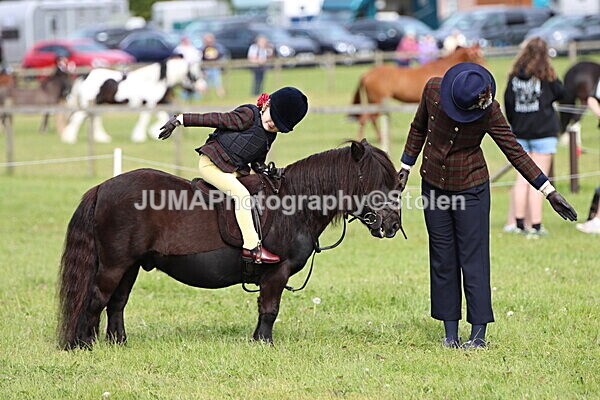 IMG_2260 - Working Hunter
