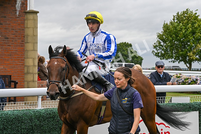 150824-Race 3-Go On Rosie-7906 - Race 3