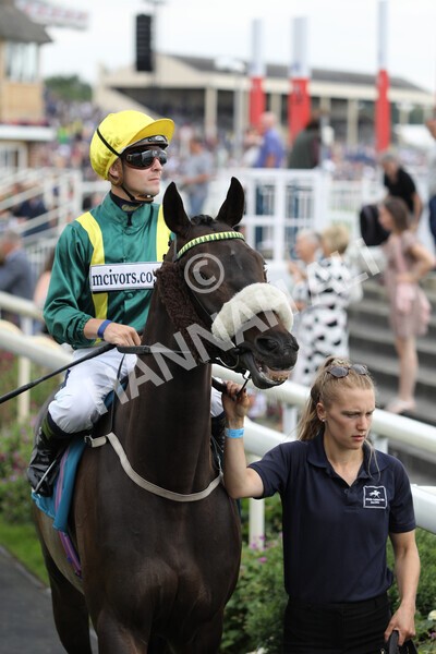 yr23072022r6-10 - Race 6 5.00pm Sky Bet Partnership with Support Dogs Stakes