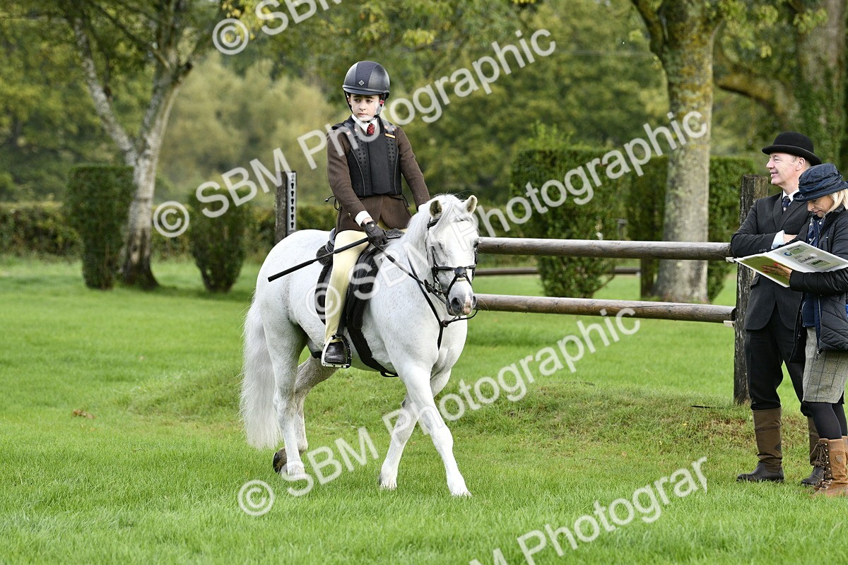 SBM_35424 - S30 - Nursery Stakes Working Hunter Pony