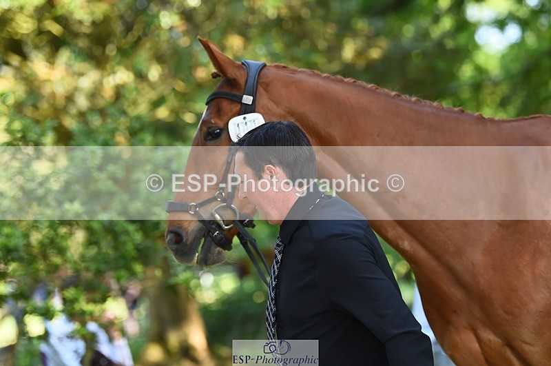 230524-164058-01022 - 111-CREEVAGHSTABLES_IFICUDIWUD-Tim_Cheffings-WEDTrotUp+DR