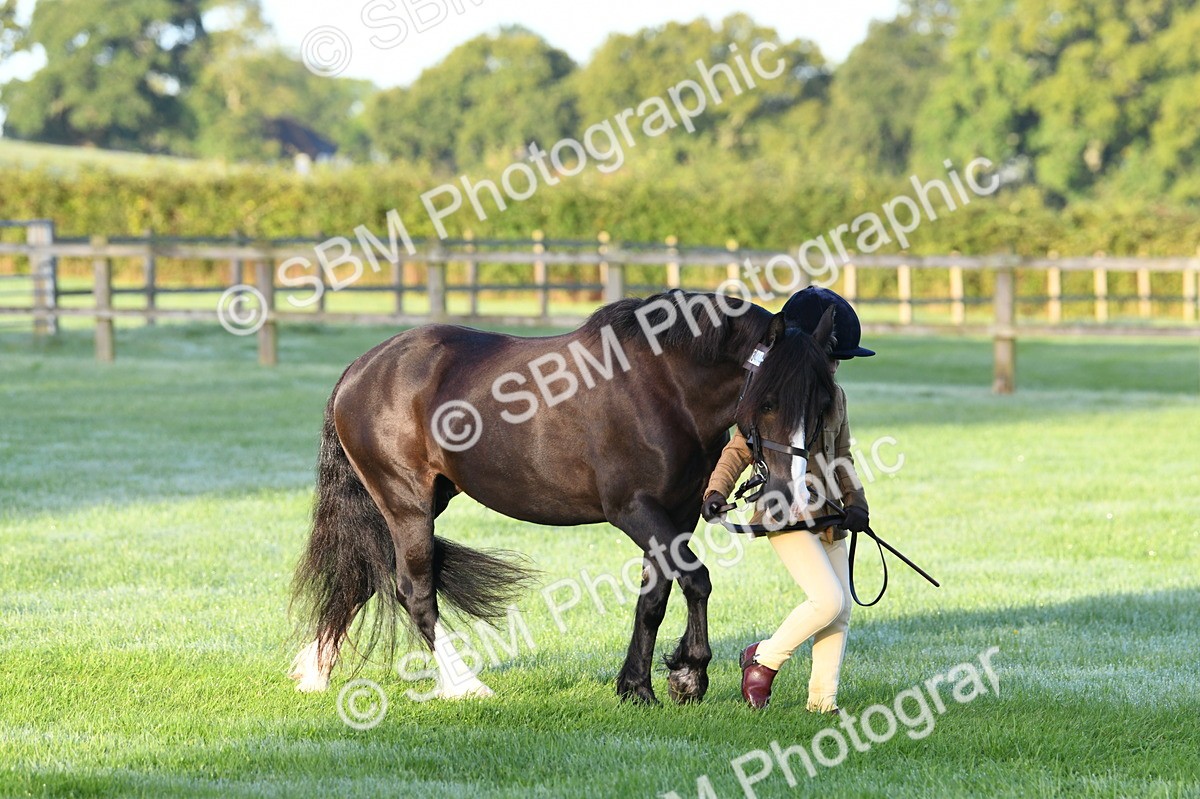 SBM_32466 - S15 - Condition & Turnout In Hand