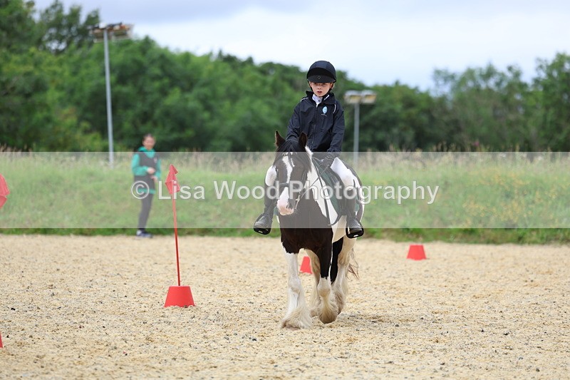 3E7A9633 - Walk trot run