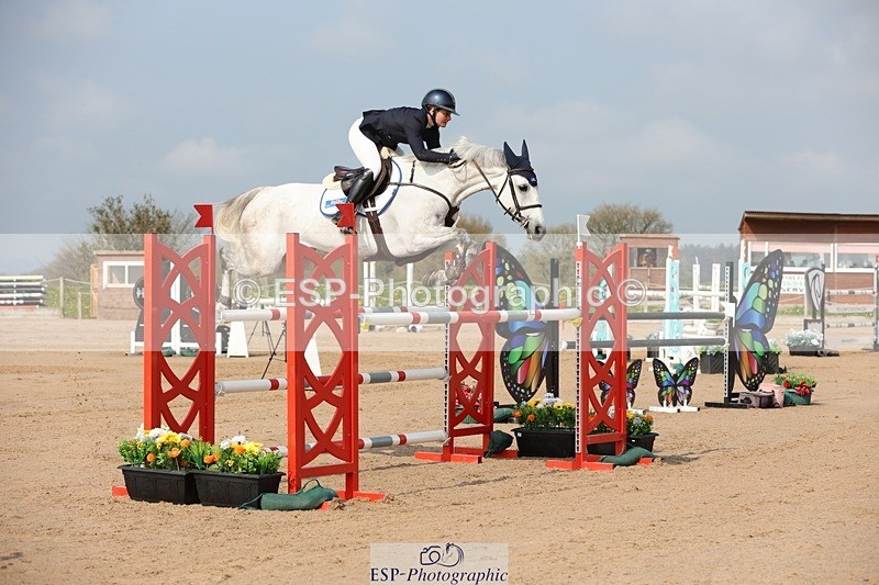 250424-101939-02952 - Cls 33 Young Horse 7yr old