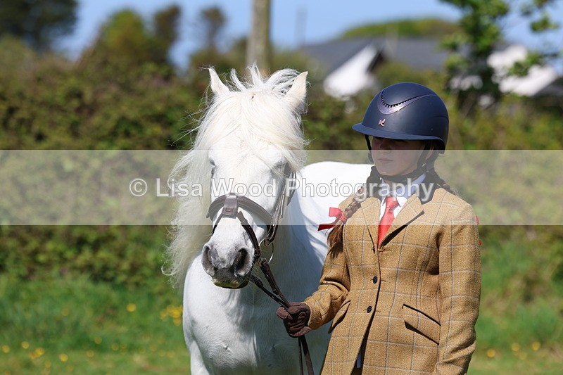 3E7A9943 - Class 17: Young Handler