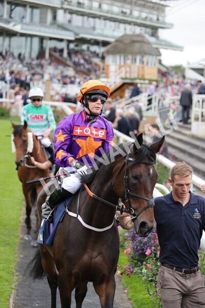 yr24092021r3-20 - Race 3 2.40pm WilliamHill.com Best Odds Guaranteed Stakes