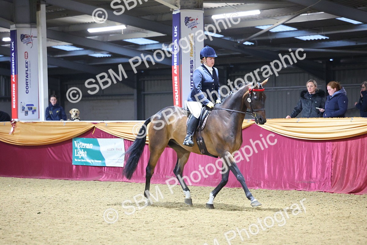 0B8A4285 - Class 108Ridden Retired Racehorse- Final Judging