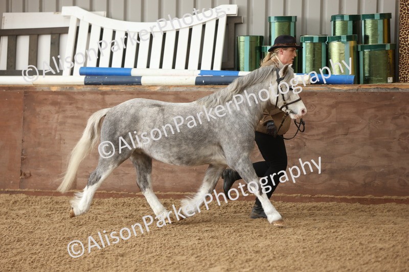 20251109-0601 - Class 22 - Geldings 4 Years and over