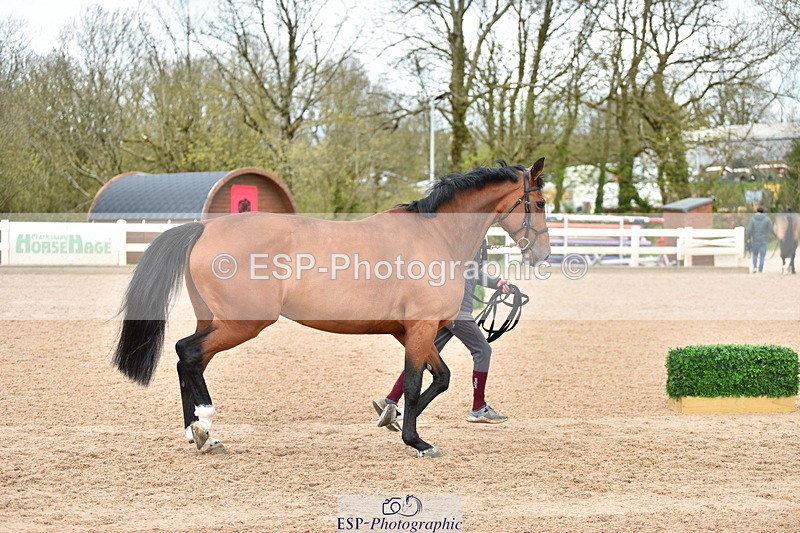 240417A-151644-00812 - 3pm to 4pm