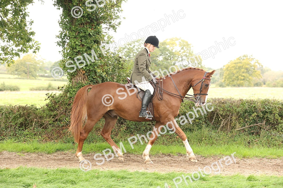 SBM_64175 - S65 - Riding Horse & Hack & Thoroughbred Ridden