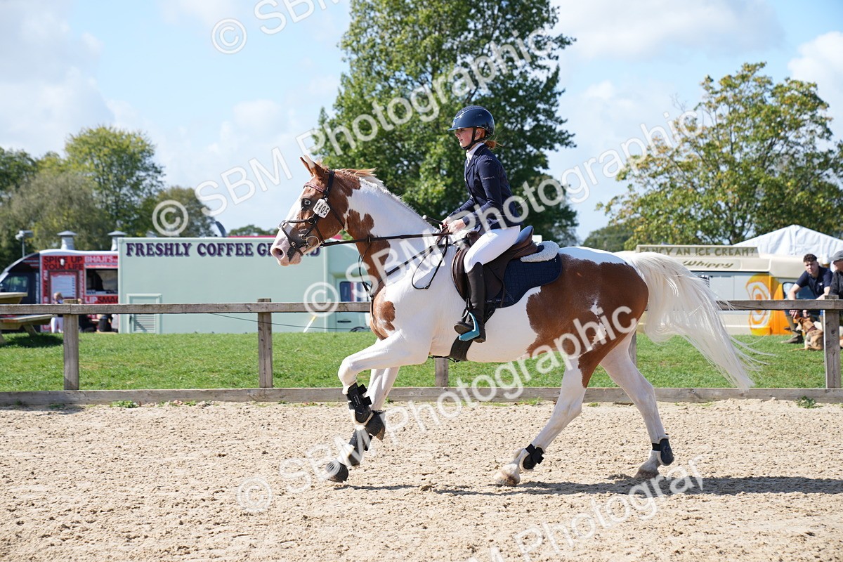 SBM_05056 - J56 - Clear Round 70cm