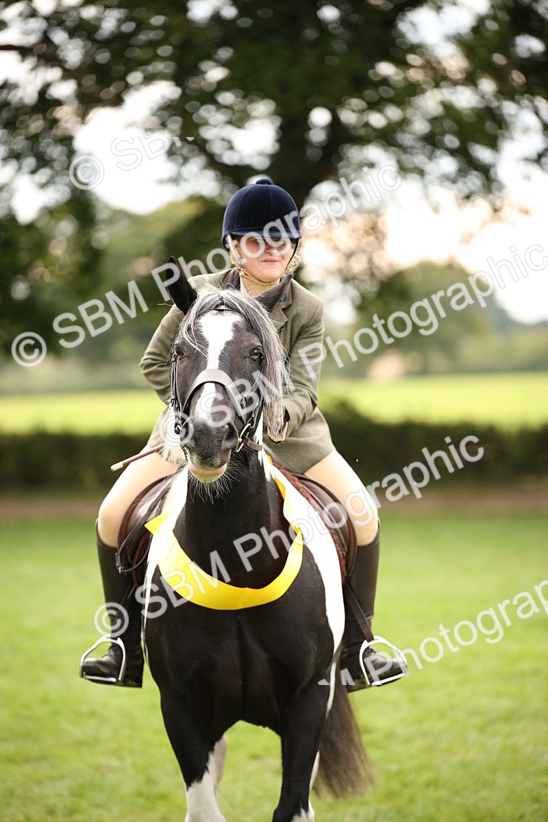 SBM_73654 - Ridden Horse Supreme Championship