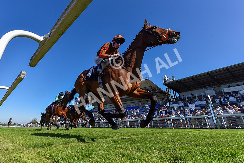 130525-Race 6-Analogical-2043 - Race 6