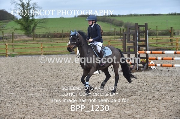 BPP_1230 - CLASS 4 Club/ Unaffiliated 80cms Open