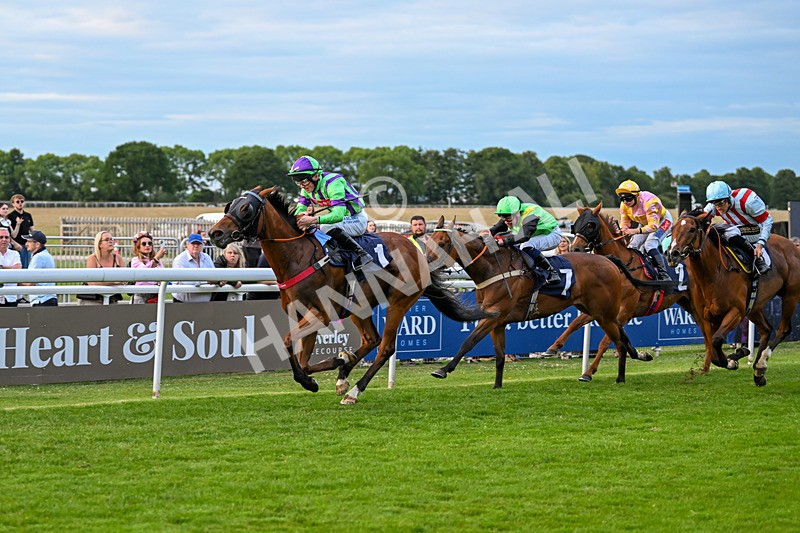 170625-Race 6-Triple Force-7493 - Race 6