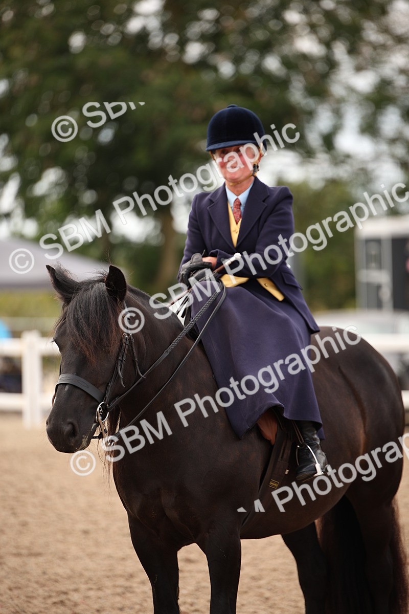 SBM_05521 - Class 22 SSA Equitation