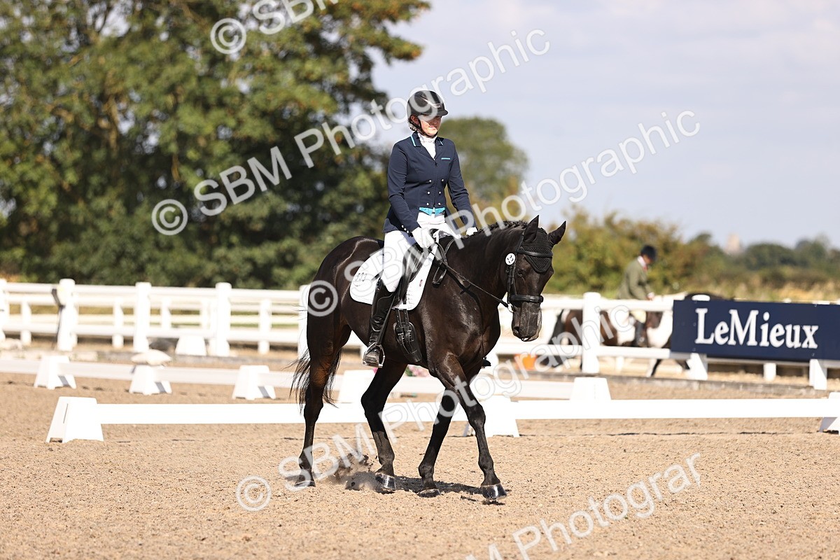 SBM_03484 - CLass 35 Intro 3