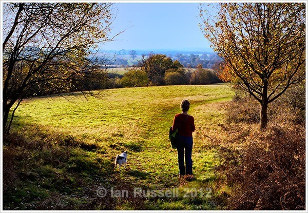 The long walk - Landscapes