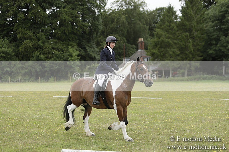 BVR160717-690 - Class 1 & 23a Dressage 16/07/17