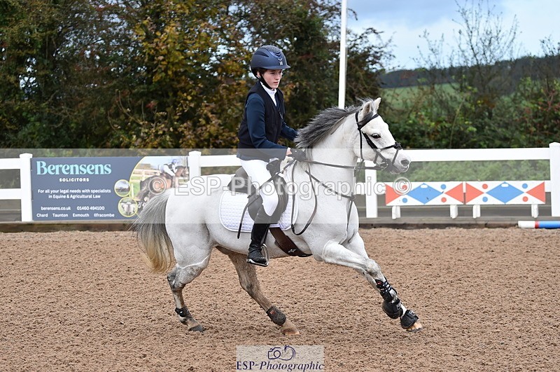 231029A-103502-02335 - 70cm Pony Intro