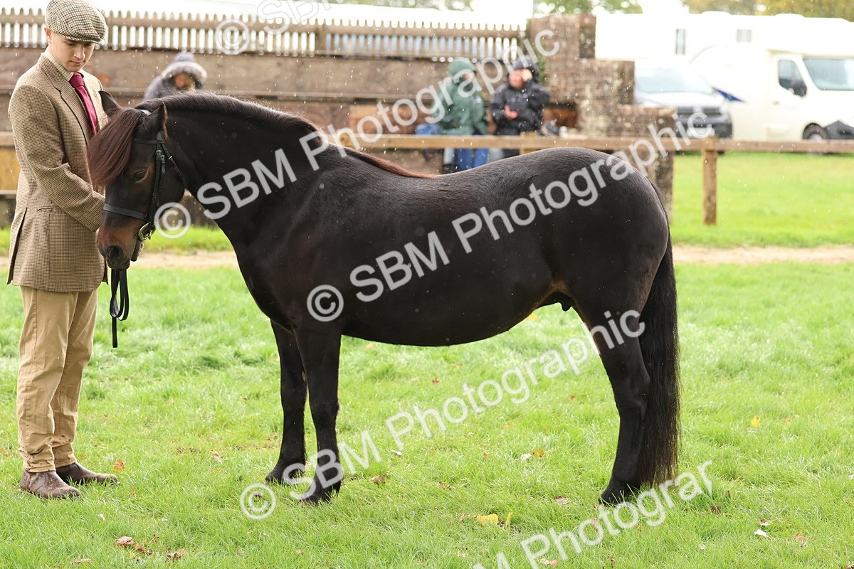 SBM_39329 - S24 - Young Veteran In Hand