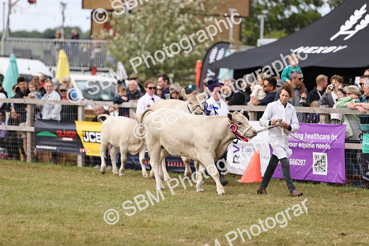 SBM_16904 - Grand Parade