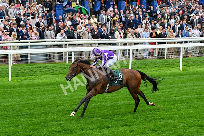 200826-Race 2-Sun Goddess-0298 - Race 2 14.25pm Harry's Half Million By Goffs