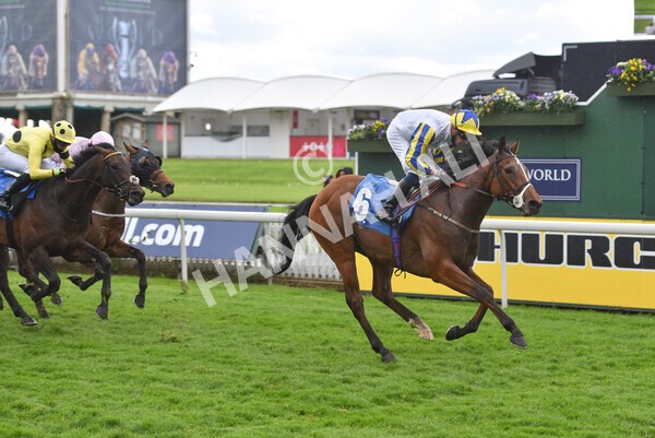 yr22052021r6-28 - Race 6 4.55pm Reg Bond