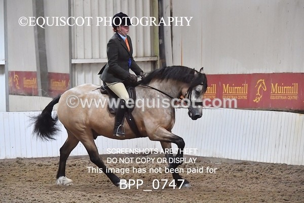 BPP_0747 - RING 2
