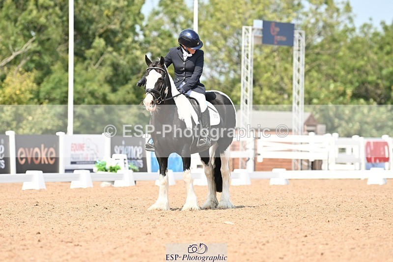 250816-132606-04693 - 114-Stacey.DonnisonPaddy.XIII