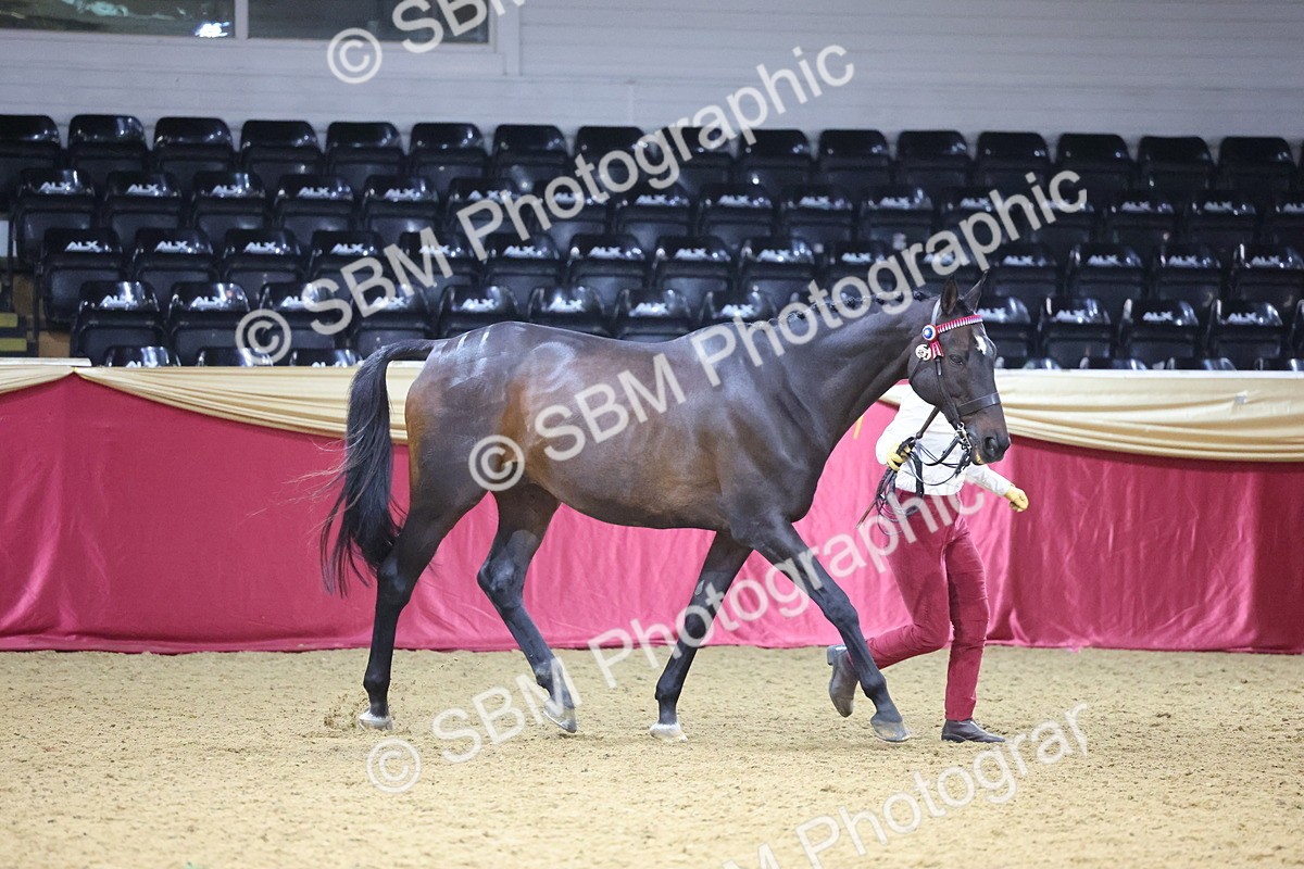 SBM_20780 - Class 902 - Supreme Final IH Veteran