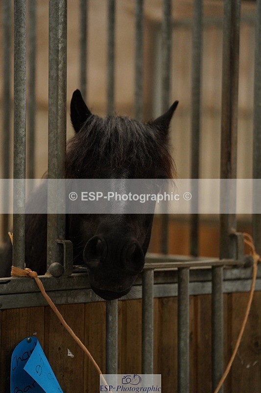 240809A-134740-01026 - Stable Shots