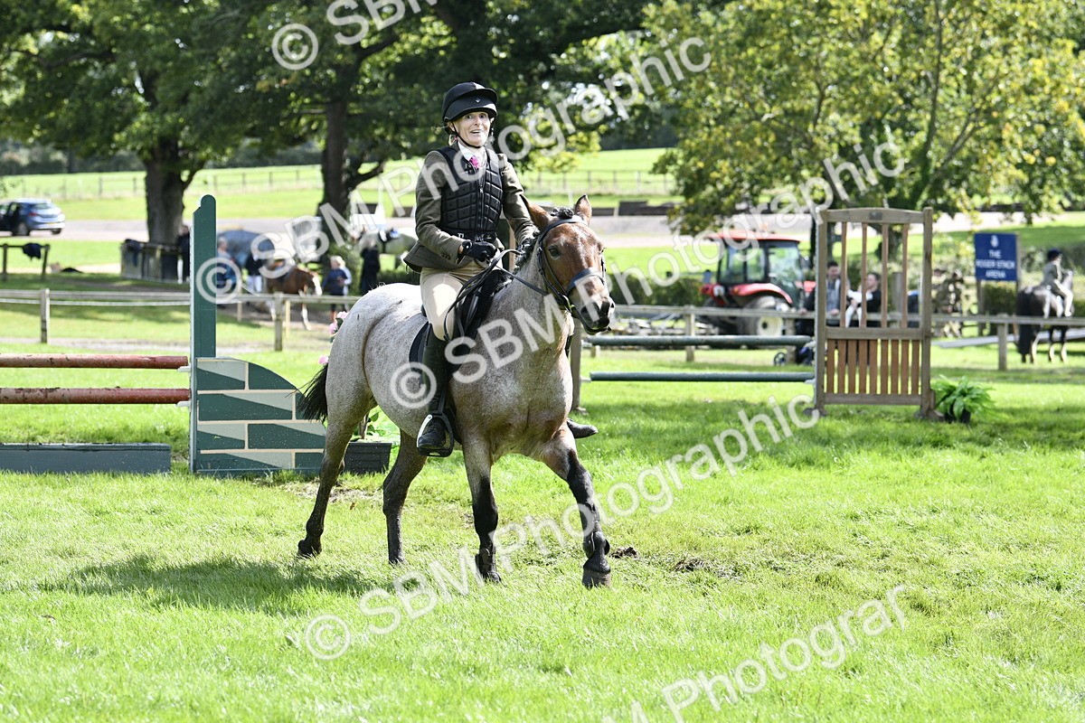 SBM_45678 - S33 - Working Hunter Pony