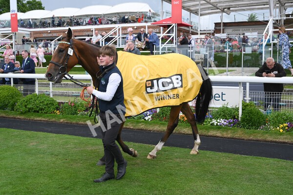 yr11062022r3-45 - Race 3 2.35pm The JCB Stakes