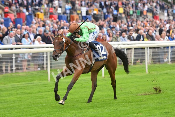 yr24092021r3-31 - Race 3 2.40pm WilliamHill.com Best Odds Guaranteed Stakes