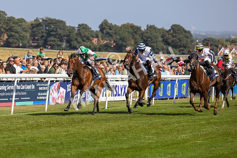 310824-Race 2-Democracy Dilemma-1123